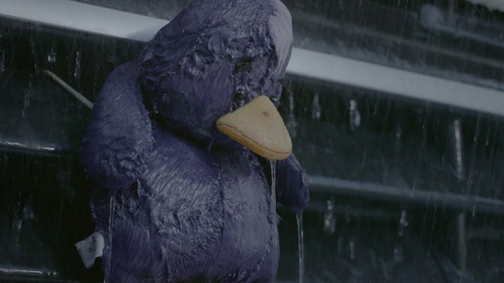 Cadbury - Puddles