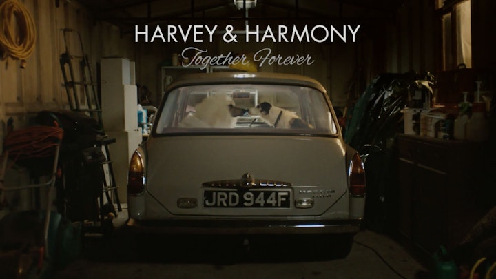 Thinkbox - Harvey & Harmony