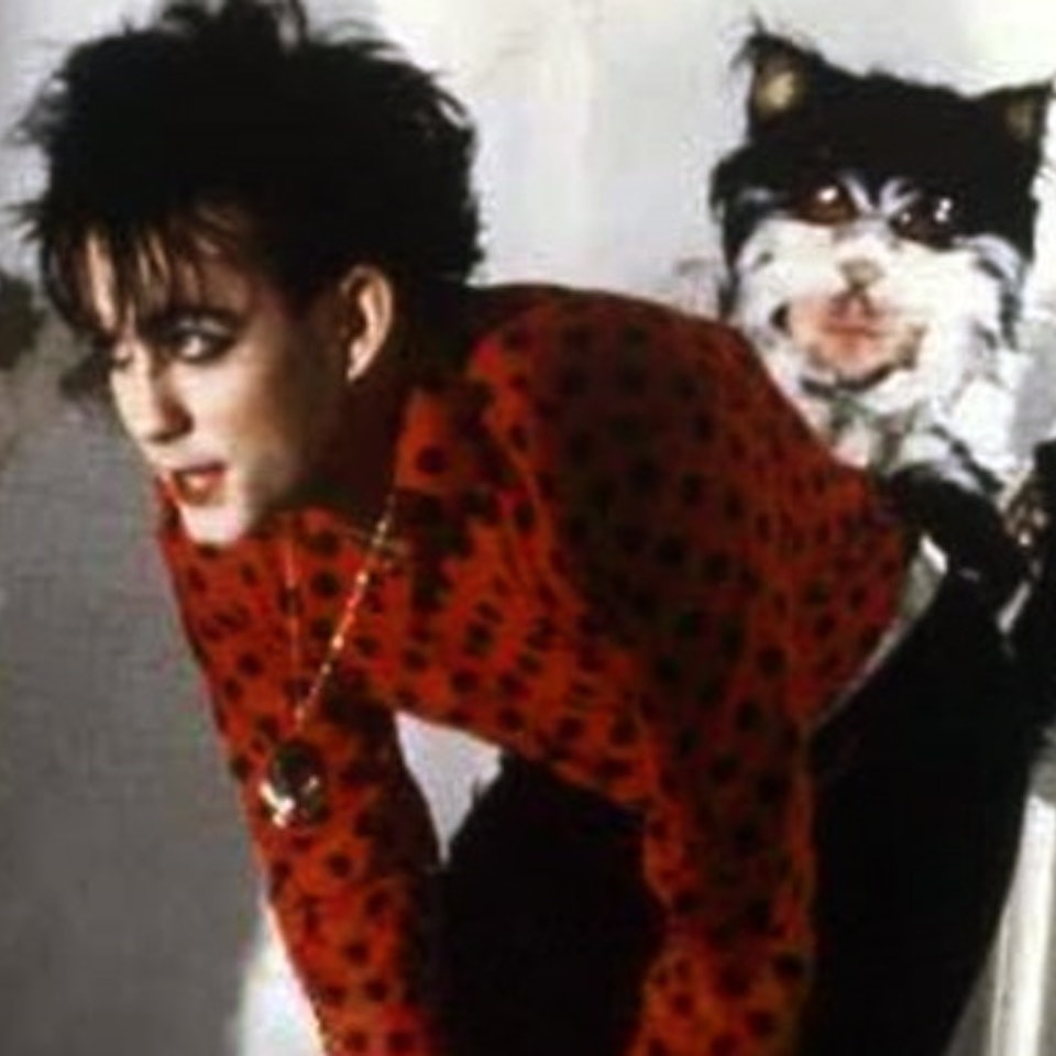 TIM POPE - The Cure "THE LOVECATS"