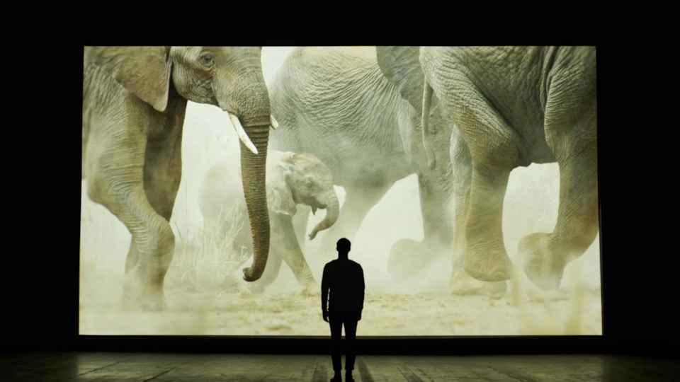 WWF - Will Young 'What The World Needs Now'