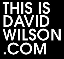 THISISDAVIDWILSON.COM