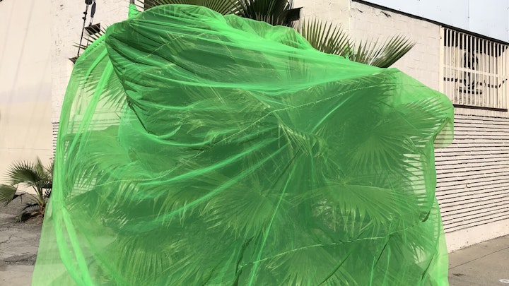 Where the wild things are