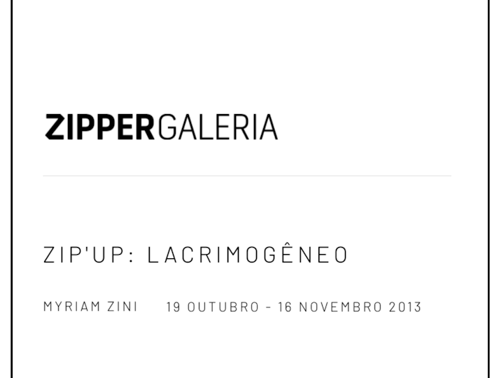 Lacrimogenio / Teargas _ Zipper gallery Sao Paulo _ 2013