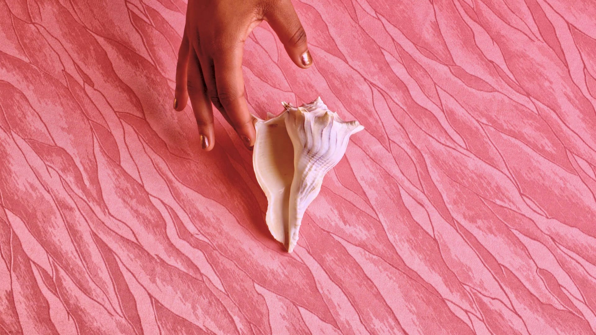No elephants in this room: Female masturbation reigns queen in new Marika Hackman Track - Big Buoy