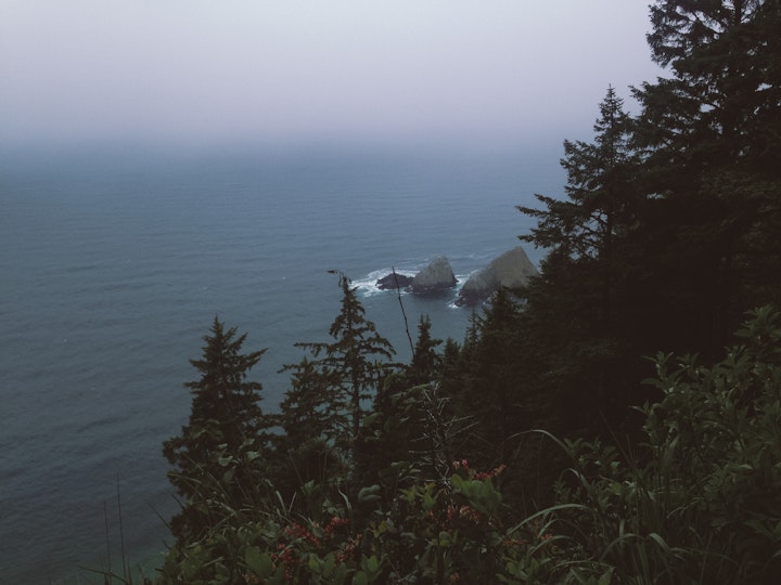 2017 phone photos archive - Coastal Mist; Pacific Crest Trail, OR