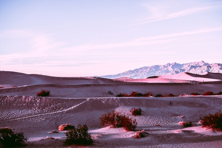 2019 - <b>dusky desert 4</b>
death valley national park, ca