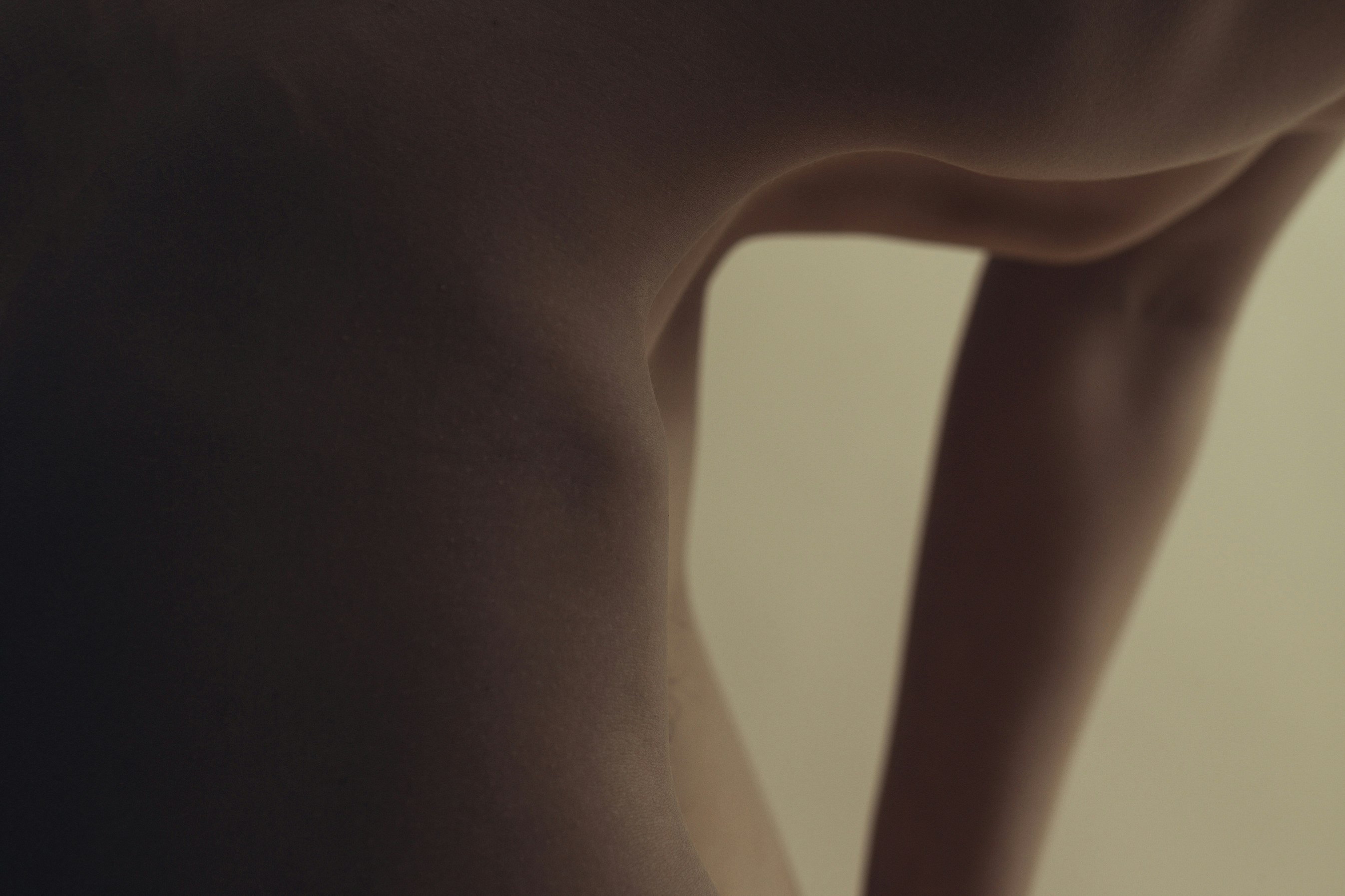 Warho_la_Arrangement_06 -
