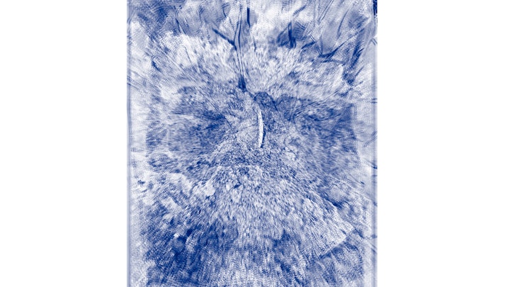 Symbiose | samen leven