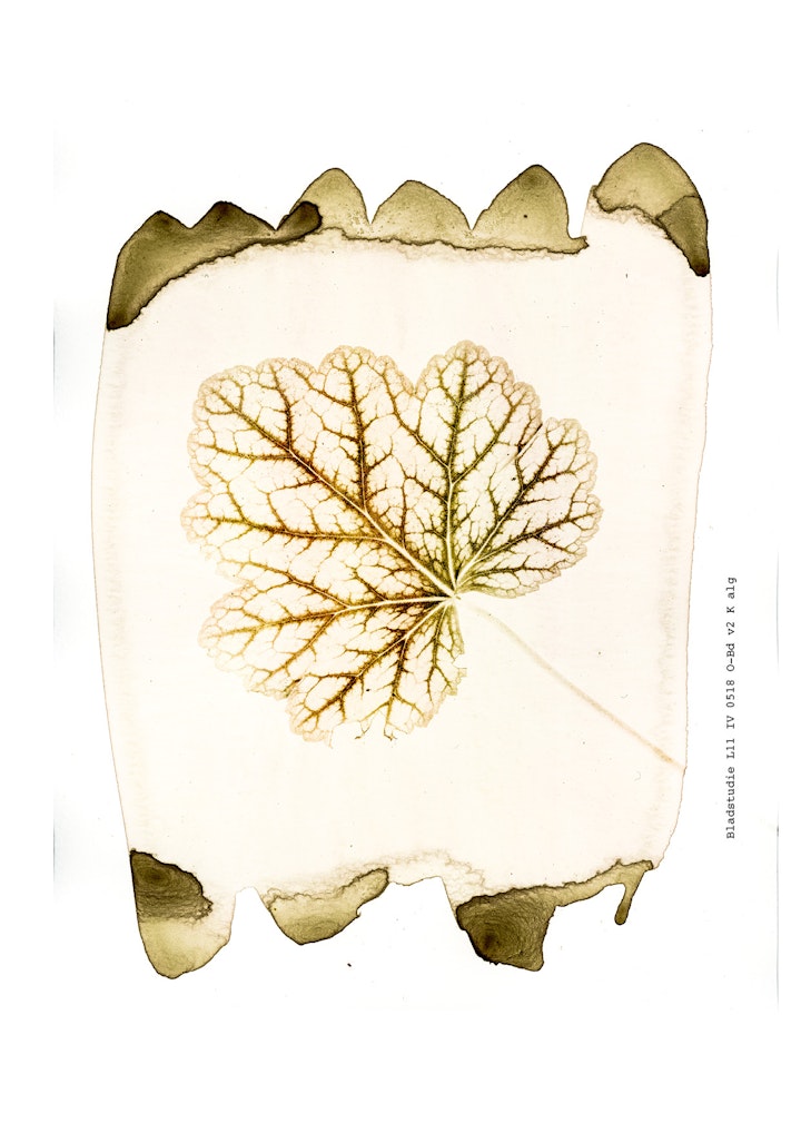 boekje imby v21 def jpeg7 -