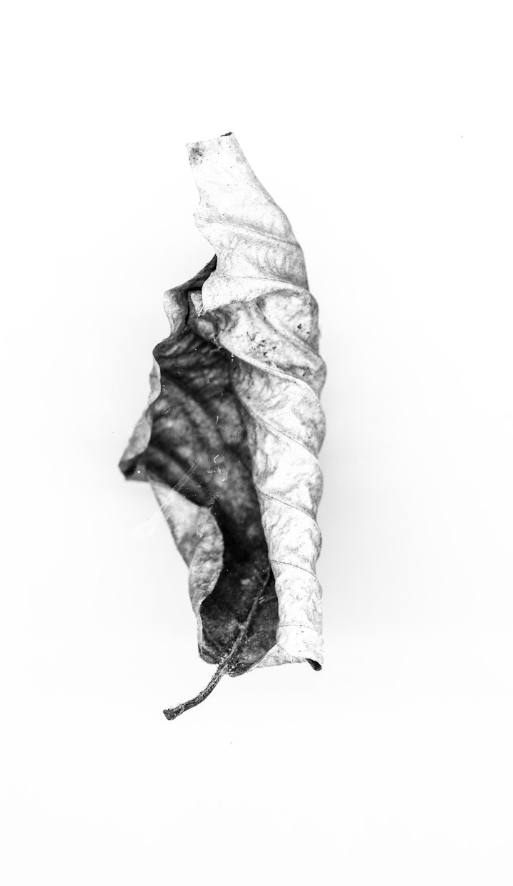artefact-5 -