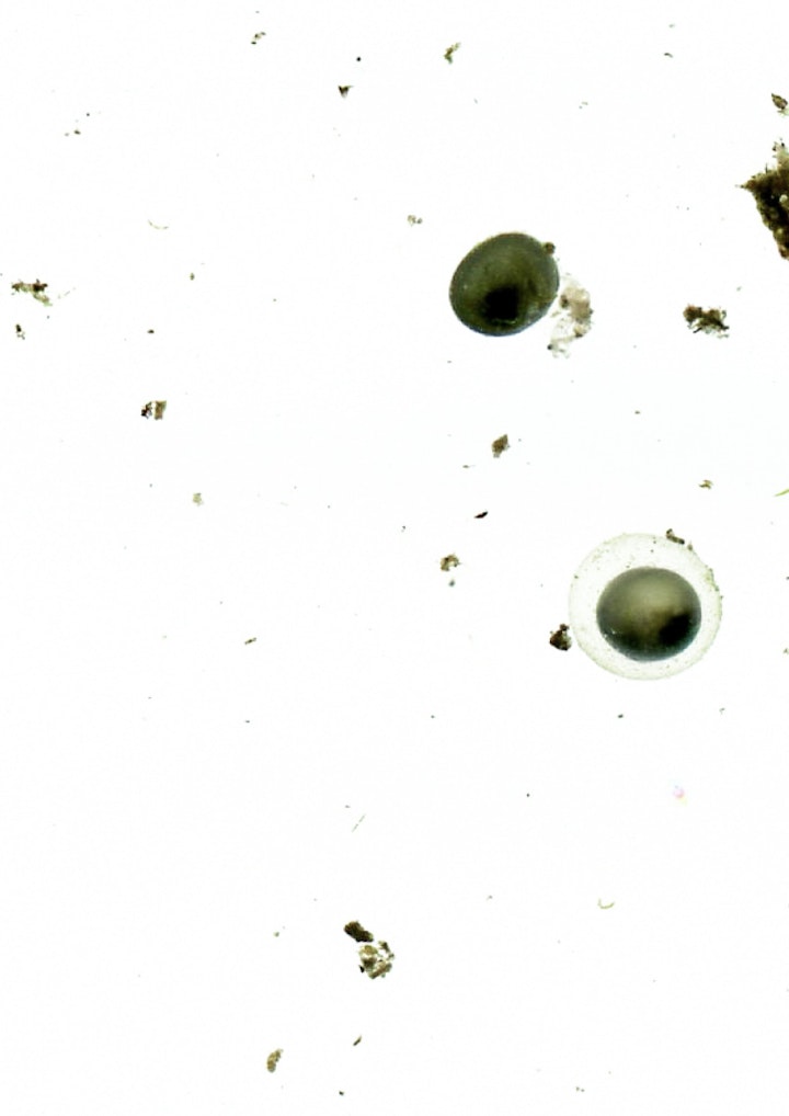 boekje imby v21 def jpeg72 -