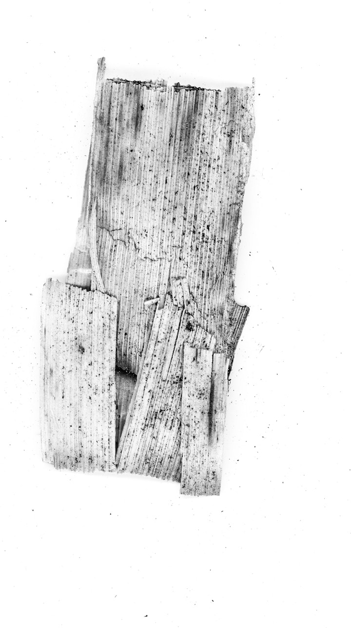 artefact -