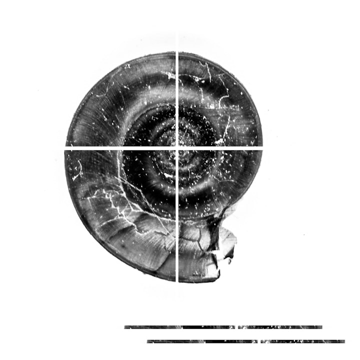 artefact-7 -