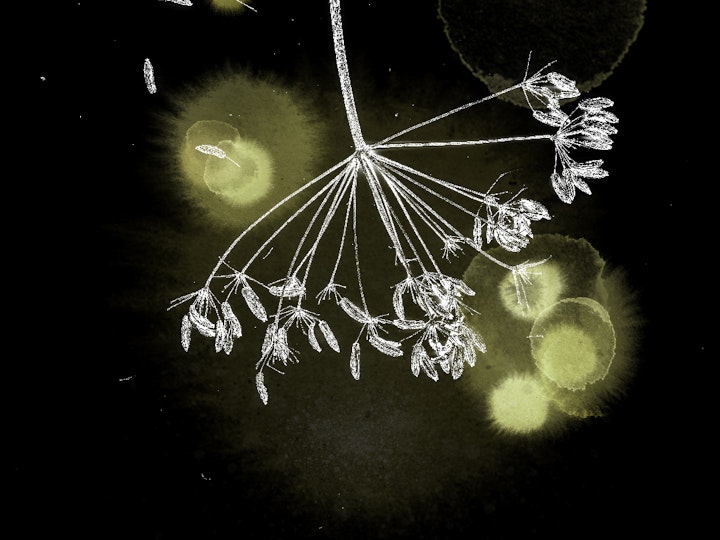 WaardArt Open Atelierroute 28-29 sept 2019