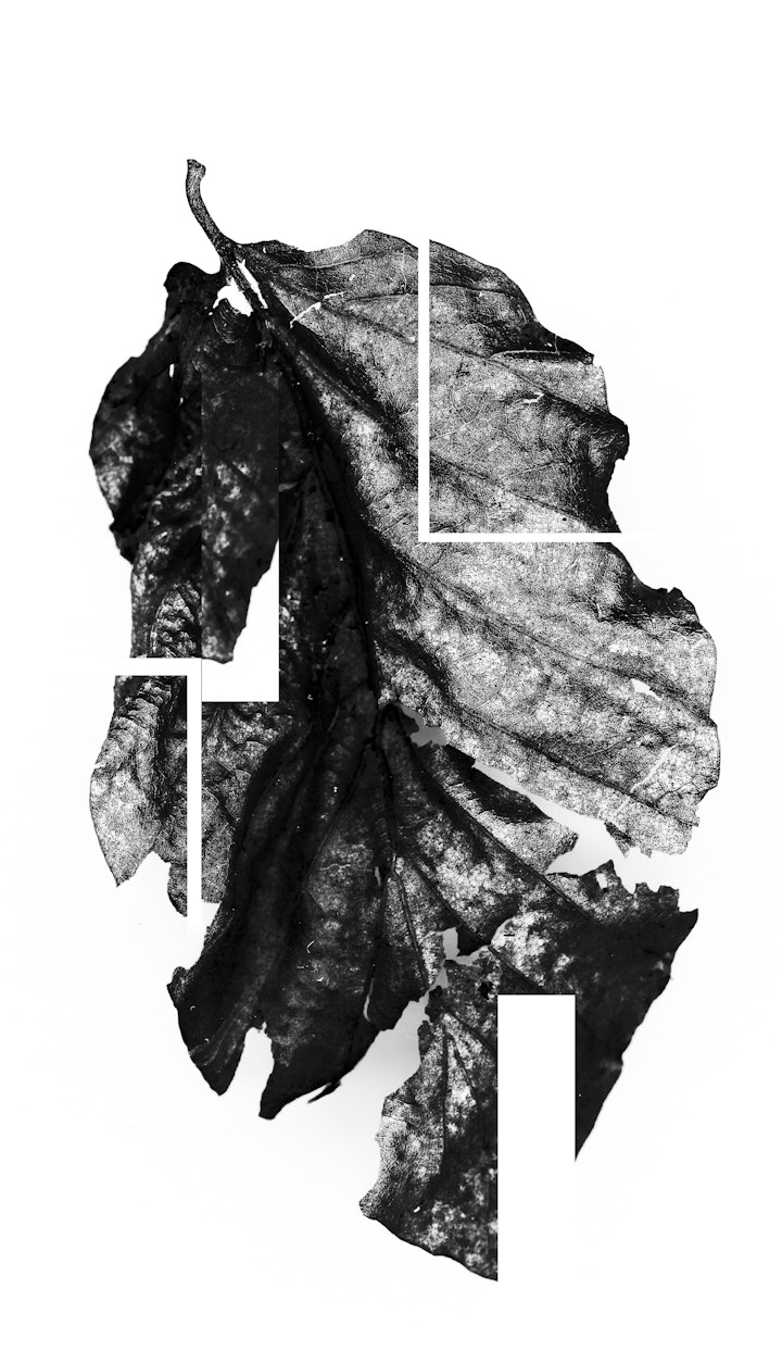 artefact-9 -