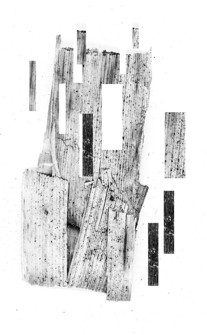 artefact-6 -
