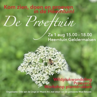 Heemtuin workshop proeven van planten