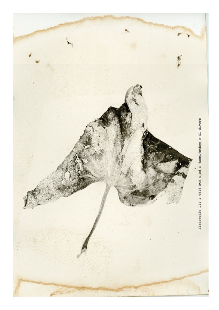 boekje imby v21 def jpeg45 -