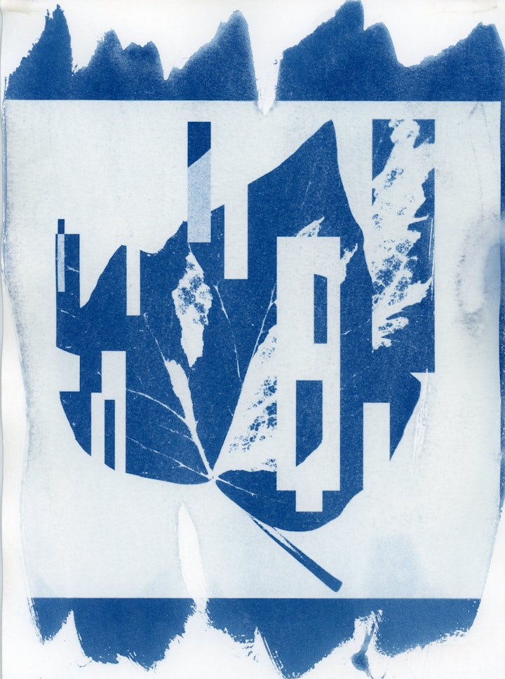 blad klimop-9 -