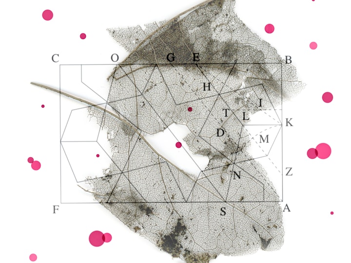 Fitting things in | omgekeerde tijd