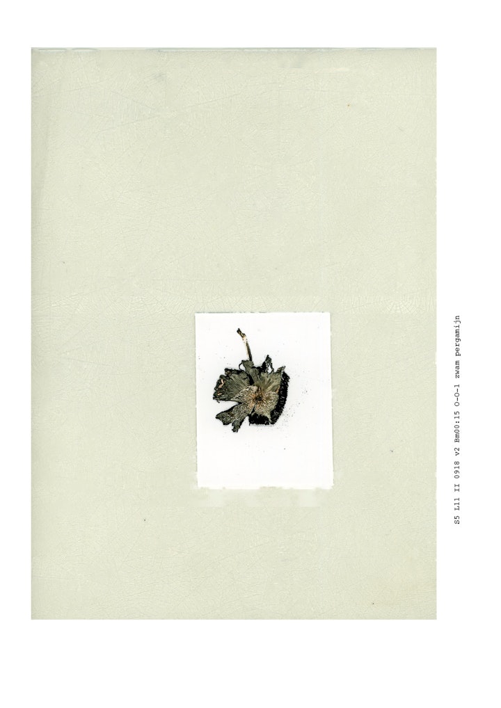 boekje imby v21 def jpeg59 -