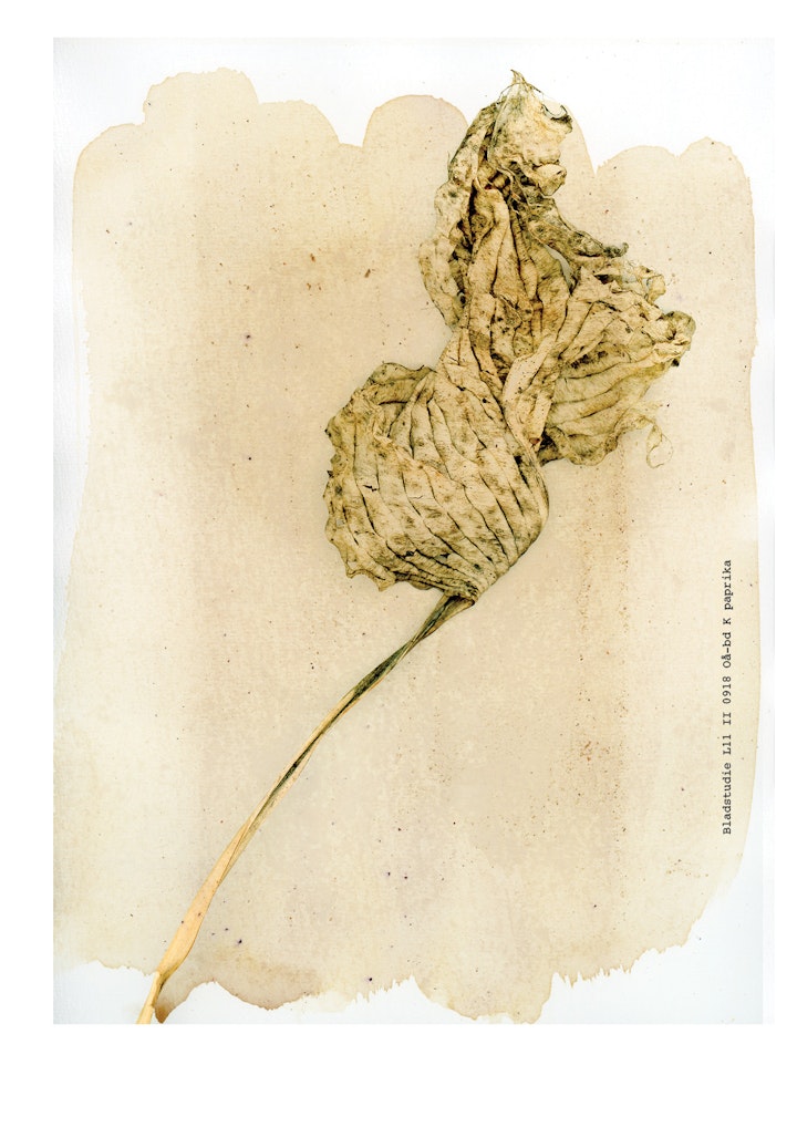 boekje imby v21 def jpeg37 -