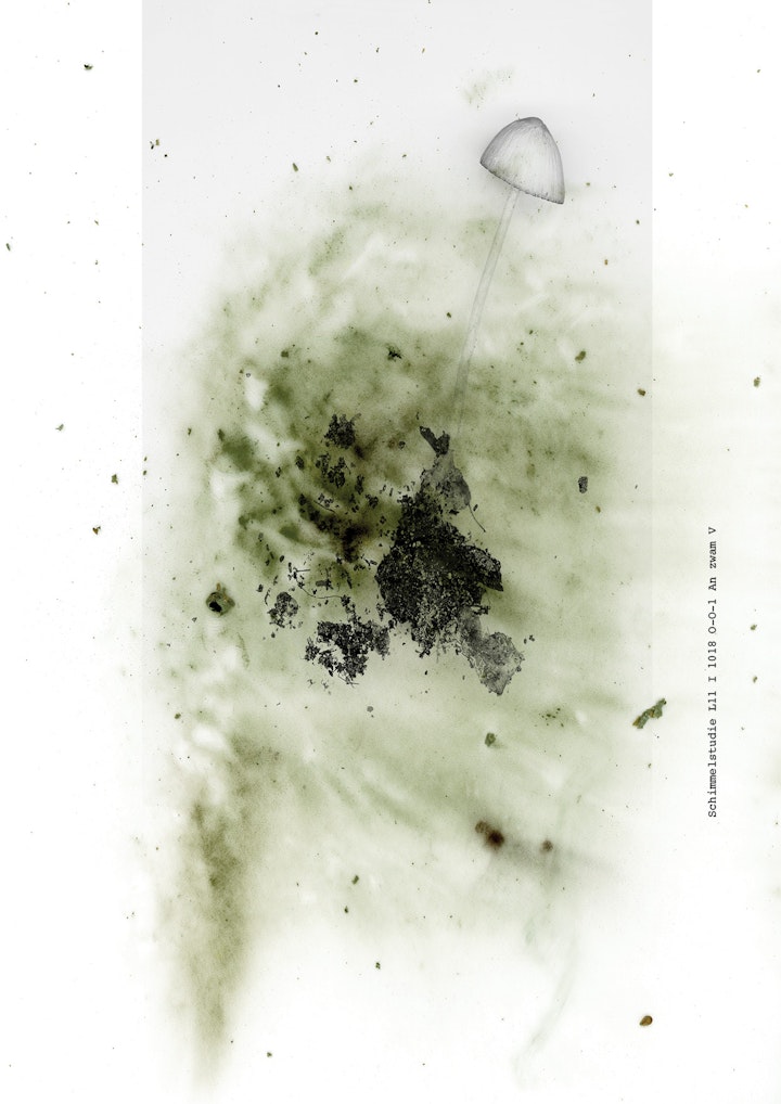 boekje imby v21 def jpeg79 -