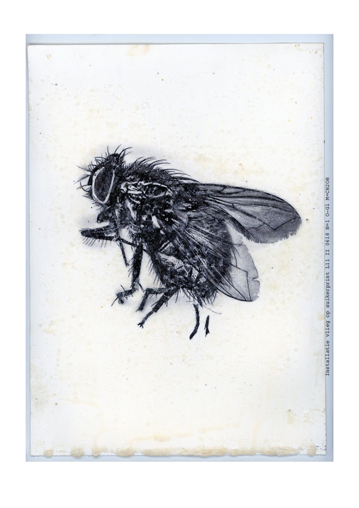 boekje imby v21 def jpeg53 -