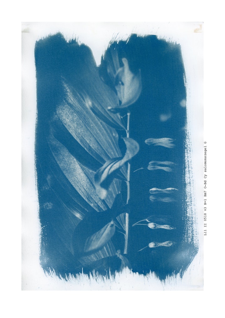 boekje imby v21 def jpeg77 -