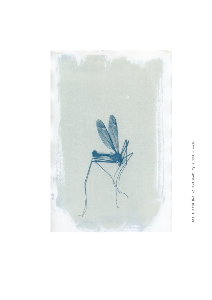 boekje imby v21 def jpeg17 -