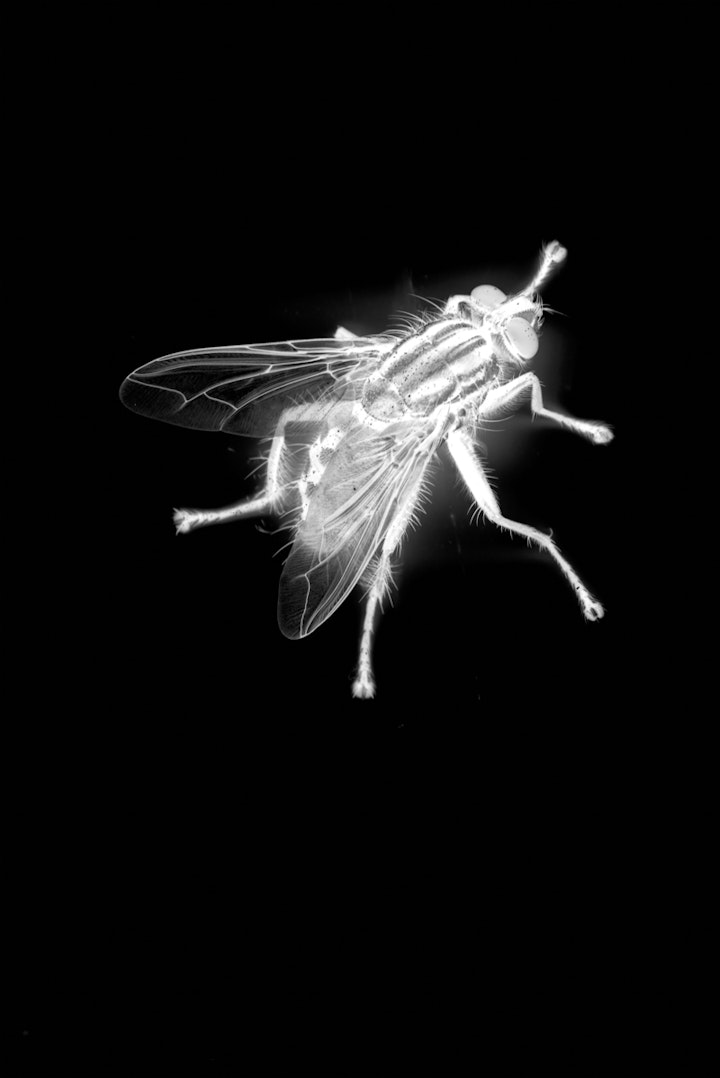 Expo WHAT THE PHOTO Willem Twee