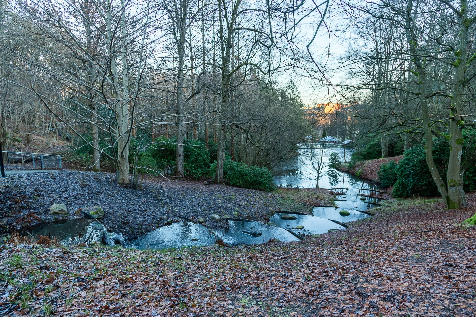 Water run in Slotskogen