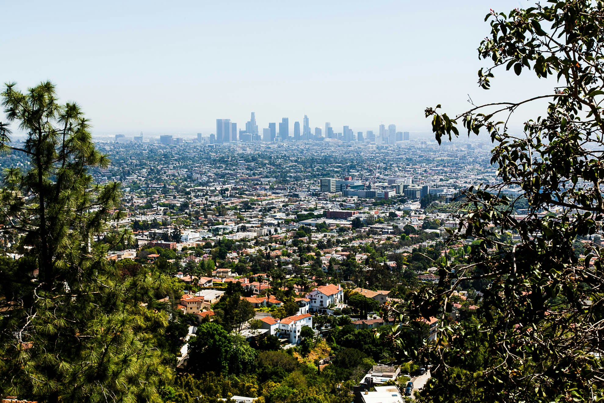 Firebreak Trail, Los Angeles - A Tog's Trek