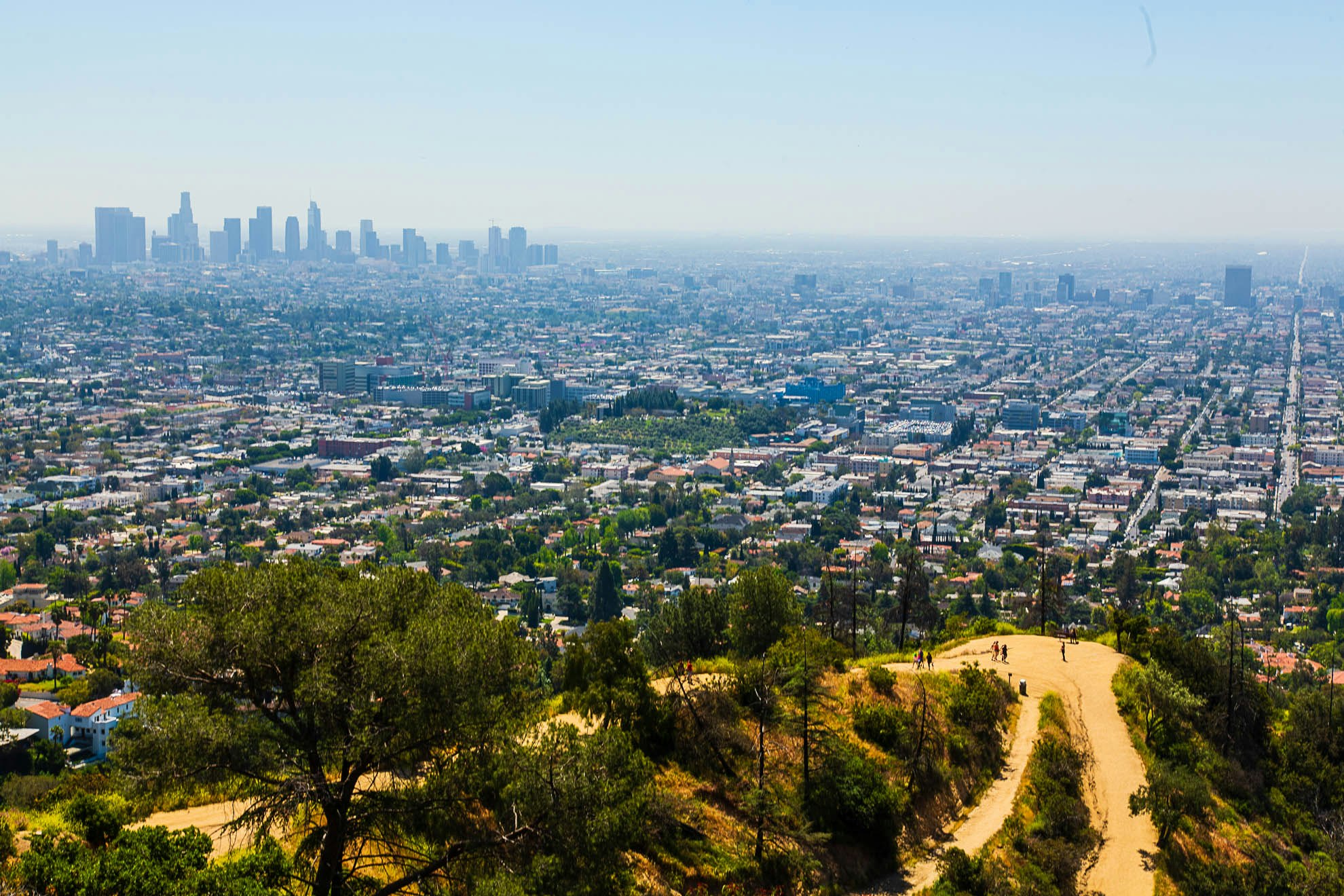 LA Skyline from Griffith Observatory LA Skyline from Griffith Observatory