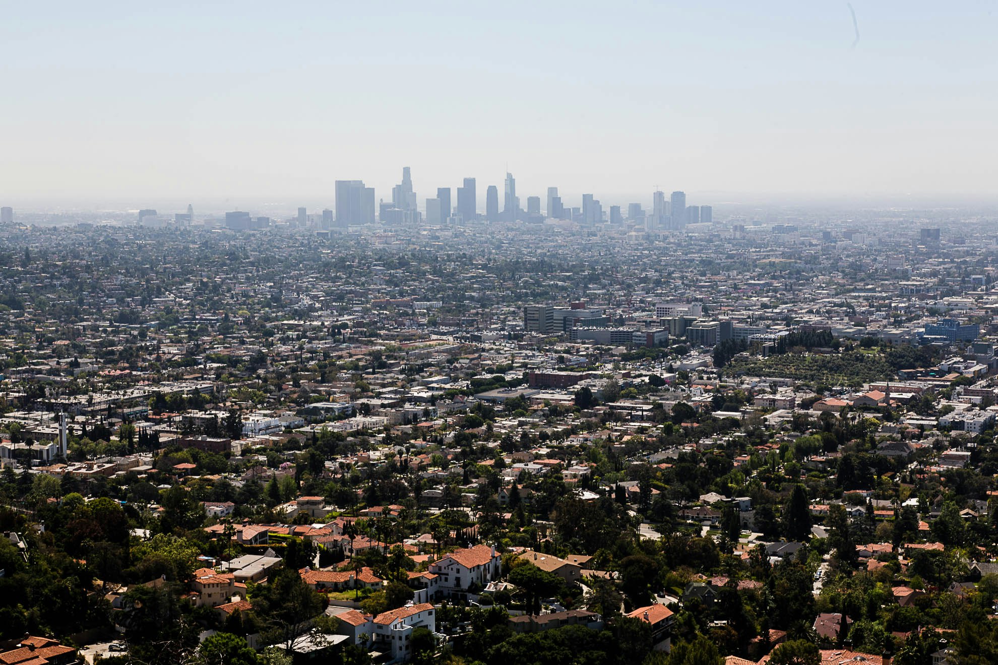 LA Skyline from Griffith Observatory LA Skyline from Griffith Observatory