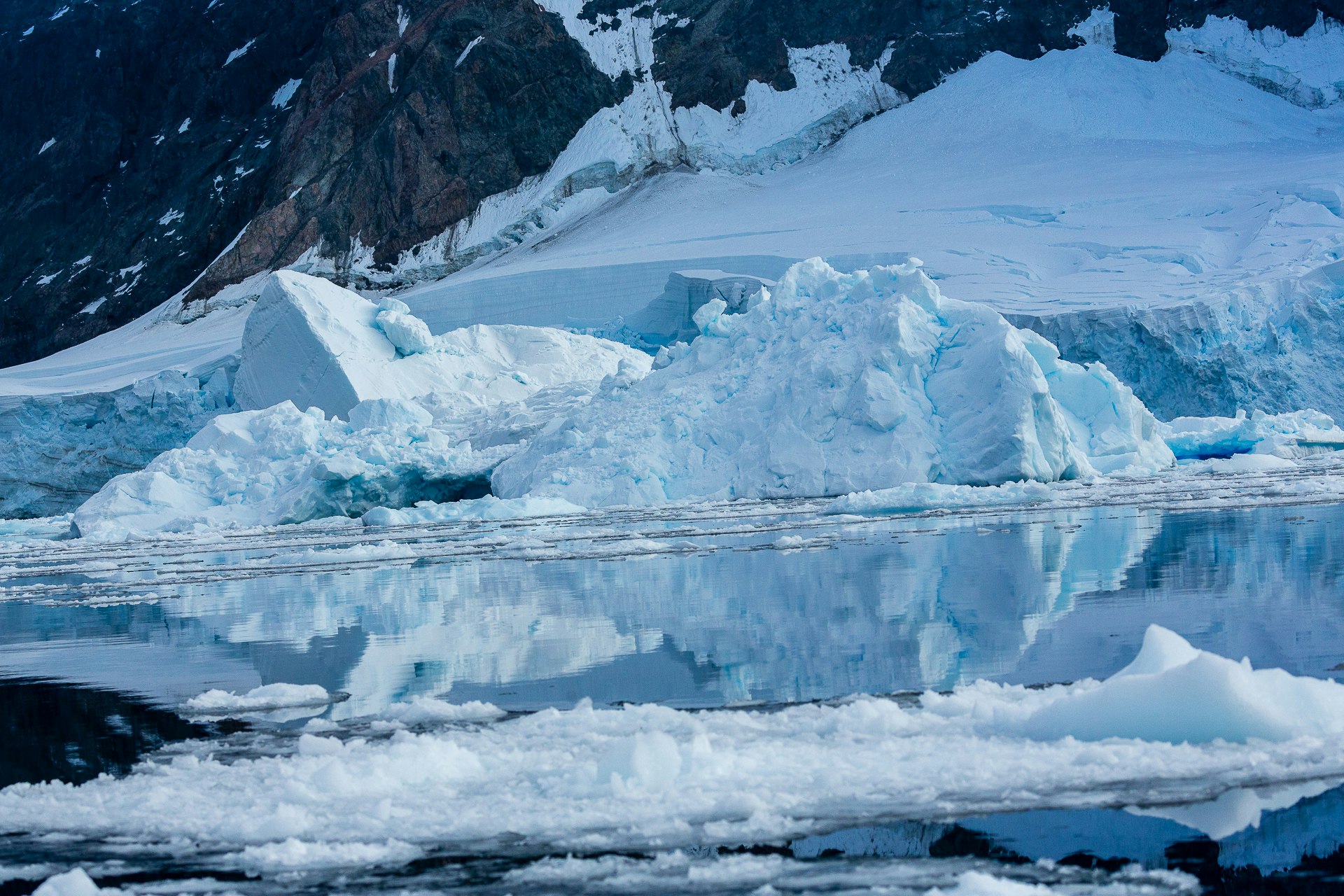 Icebergs in Neko Harbour