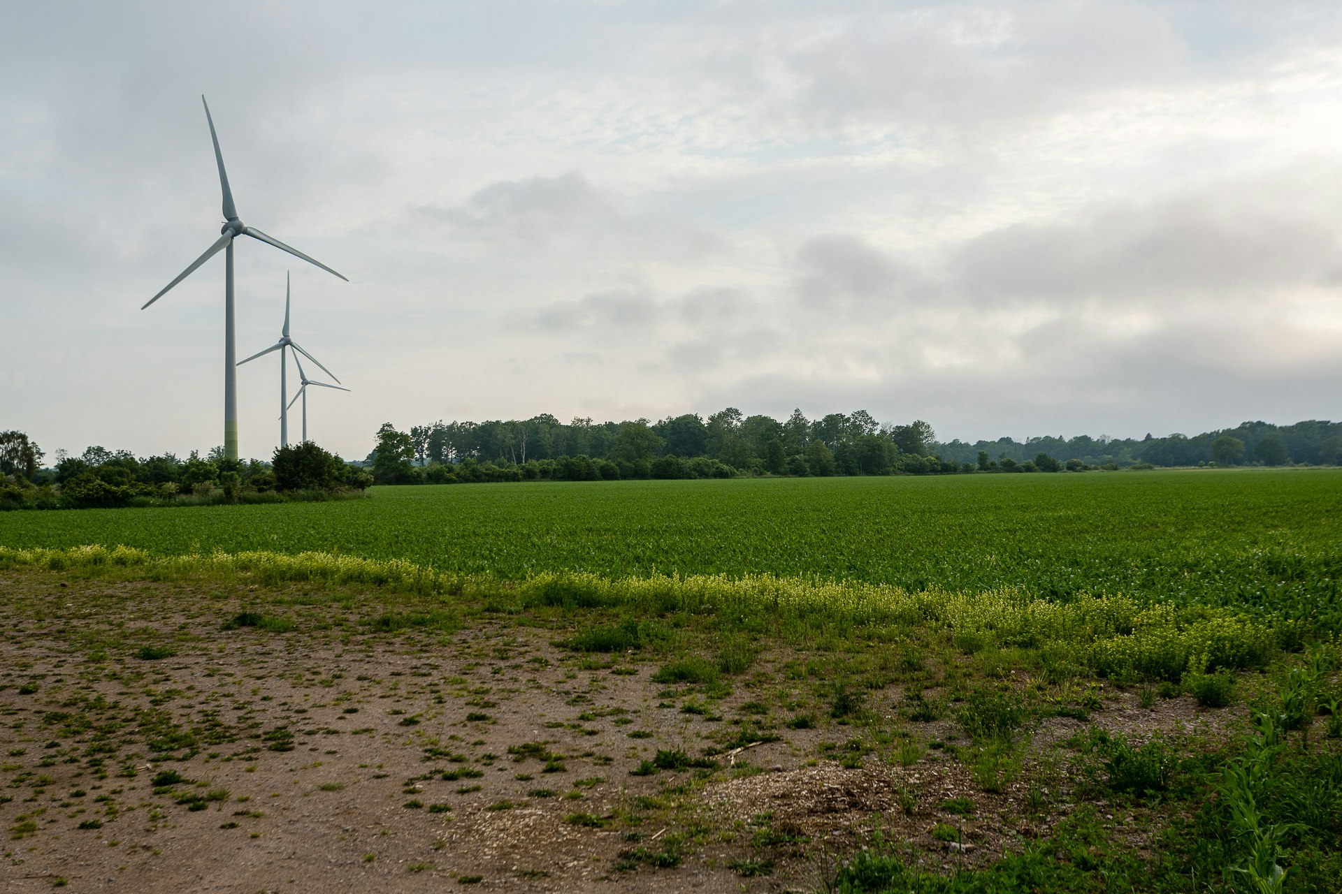 Modern Windmills of Öland
