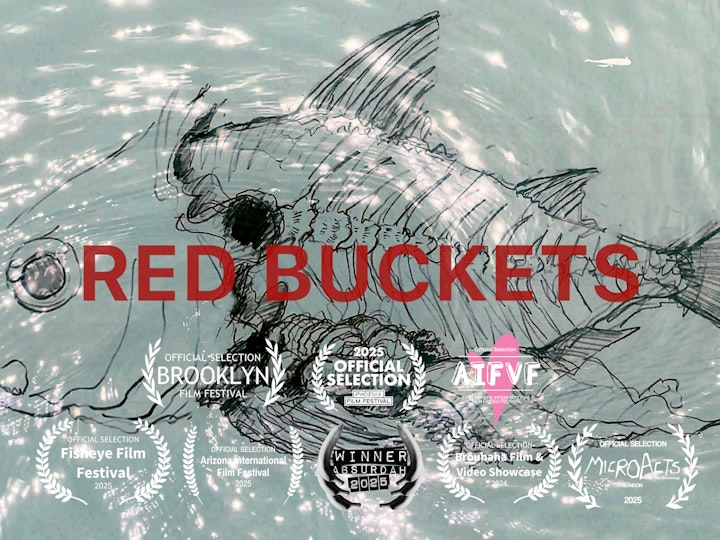 Animation and Puppets