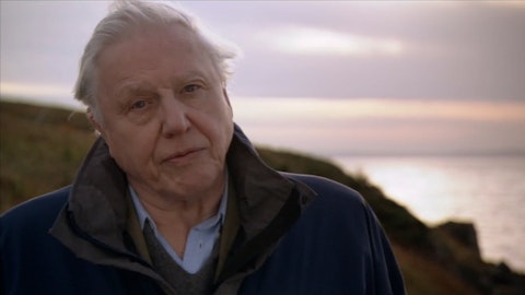 David Attenborough's First Life: Arrival