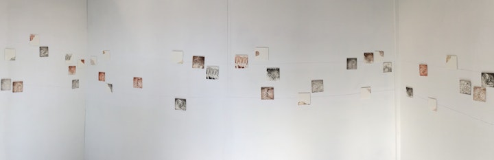 stratum  (2015)
photopolymer prints on Hahnemuhle paper on plywood, 488cm x 80cm overall
