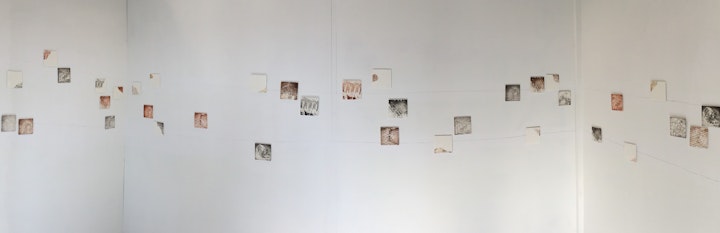 stratum (2015)
photopolymer prints on Hahnemuhle paper on plywood, 488cm x 80cm overall