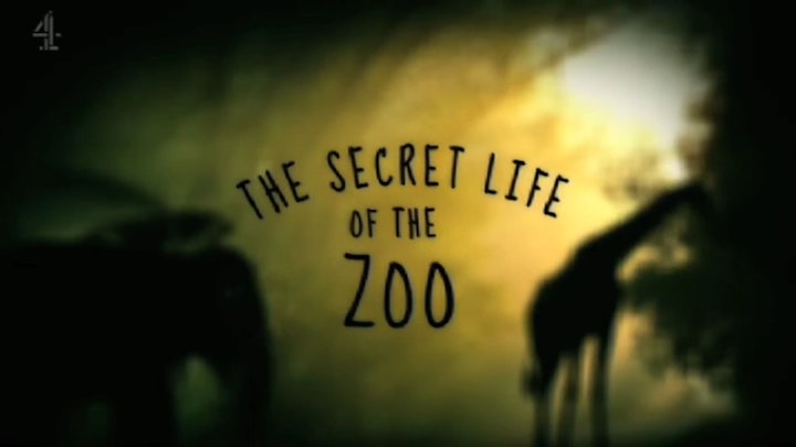 THE SECRET LIFE OF THE ZOO