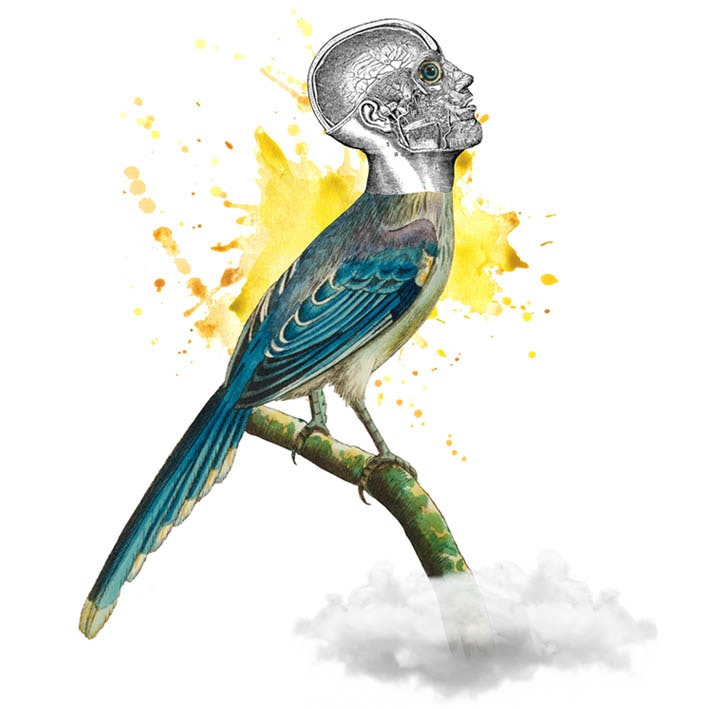 Propuesta de epitafio