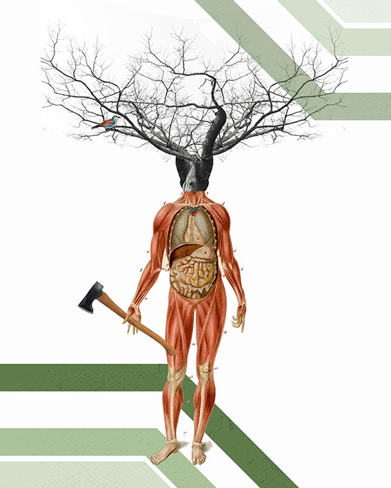 Hombre árbol