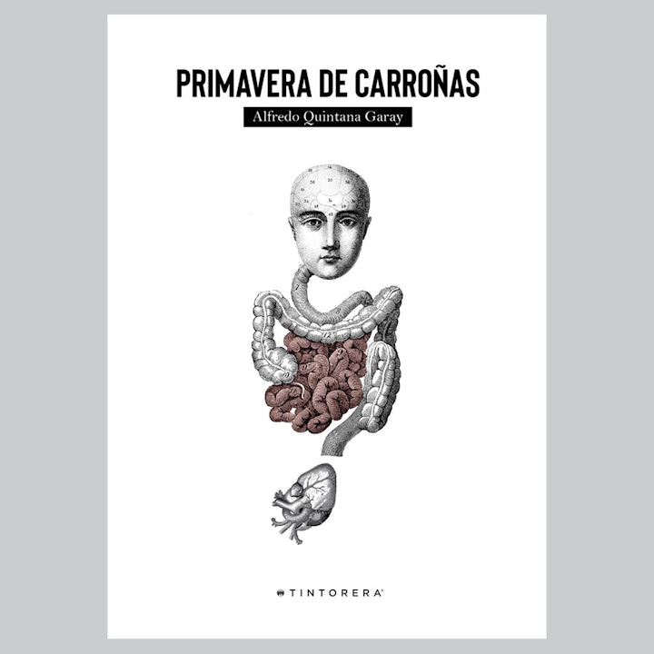 Primavera de carroñas - 20 aniversario