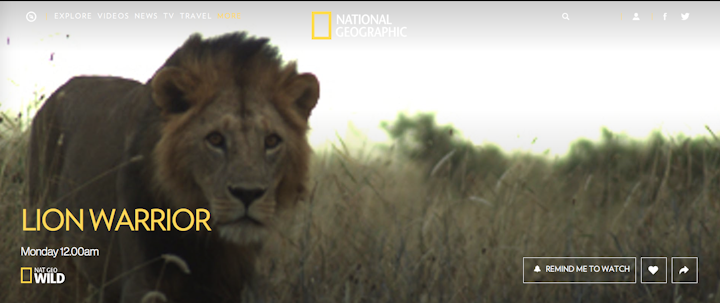LION WARRIORS REVIEWS NY TIMES & WIRED MAG