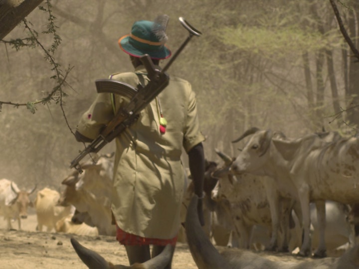 A typical day for a young Pokot man, together with cattle and guns, very little food or water, always on the move looking for grazing.
