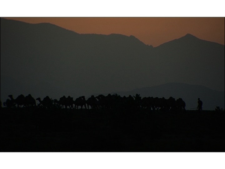 Kaisut desert Northern Kenya