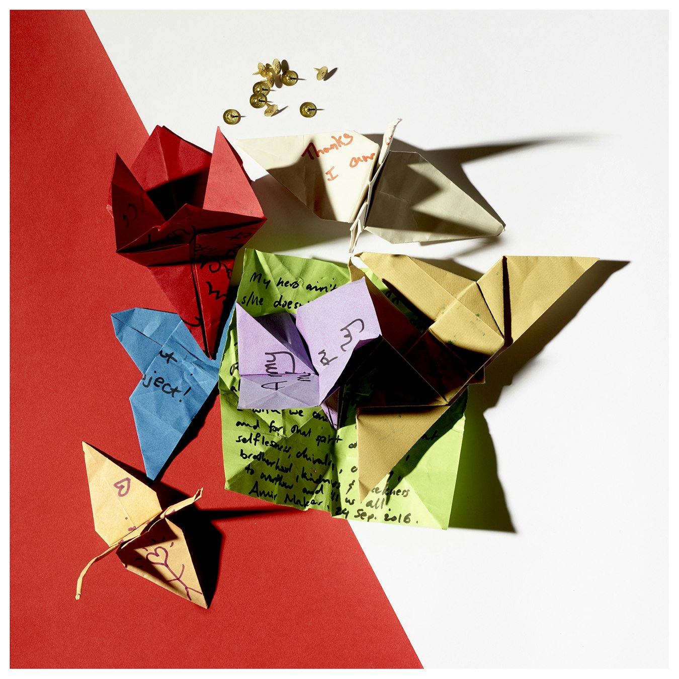Origami23898