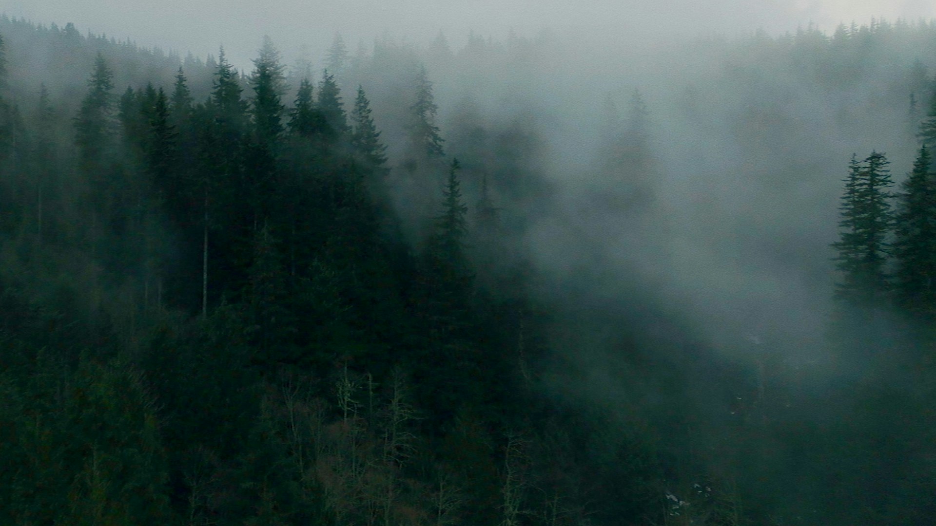 Travel Oregon Nick Sanders Freelance Film And Video Colorist La